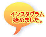 インスタグラム 始めました。