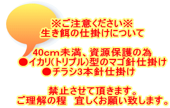 ※ご注意ください※ 生き餌の仕掛けについて  40ｃｍ未満、資源保護の為 ●イカリ(トリプル)型のマゴ針仕掛け ●チラシ3本針仕掛け　 　 禁止させて頂きます。 ご理解の程　宜しくお願い致します。