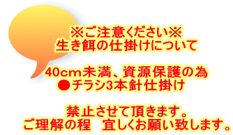 ※ご注意ください※ 生き餌の仕掛けについて  40ｃｍ未満、資源保護の為 ●チラシ3本針仕掛け　 　 禁止させて頂きます。 ご理解の程　宜しくお願い致します。